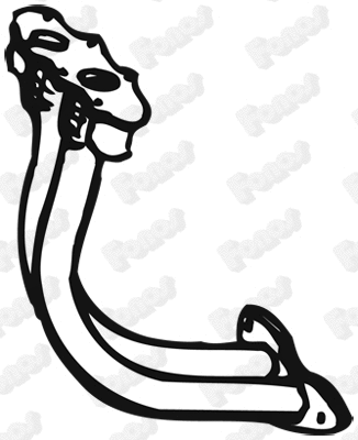 Exhaust Pipe (16805)