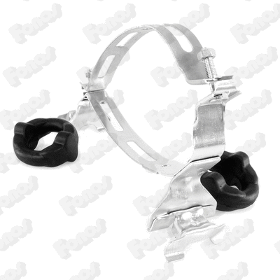 Mount, exhaust system