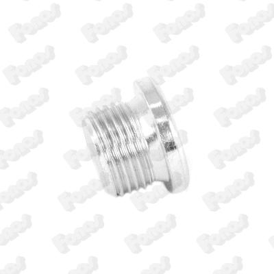 Bolt, exhaust system