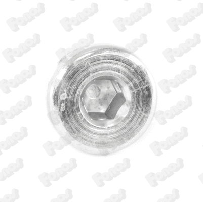Bolt, exhaust system