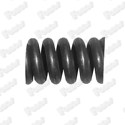 Spring, muffler