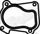 Gasket, exhaust pipe (80750)