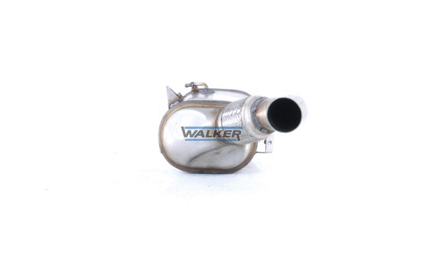 Soot/Particulate Filter, exhaust system (73068)
