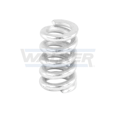 Spring, muffler