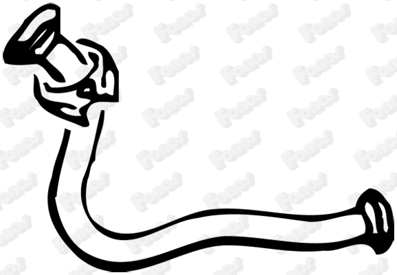 Exhaust Pipe (311168)