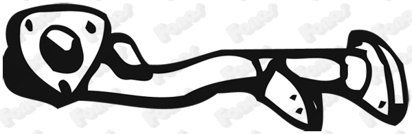 Exhaust Pipe (02989)