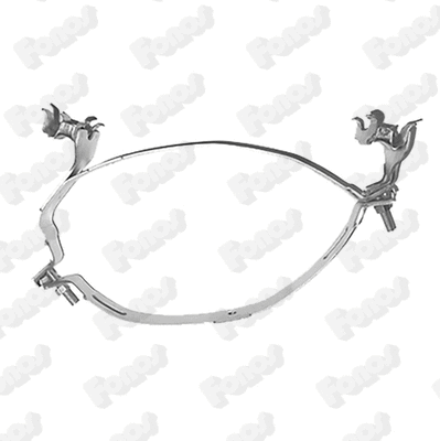 Mount, exhaust system