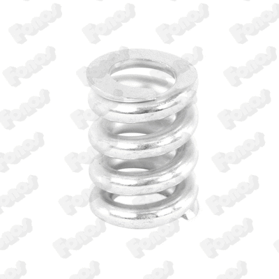 Spring, muffler