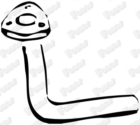 Exhaust Pipe (14051)