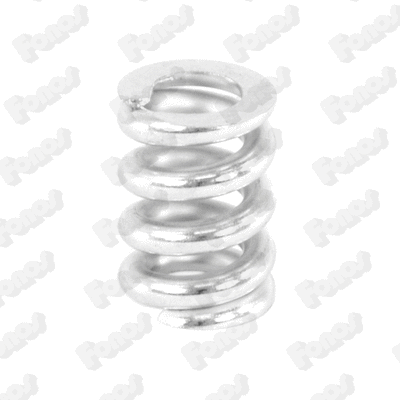 Spring, muffler