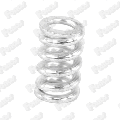 Spring, muffler