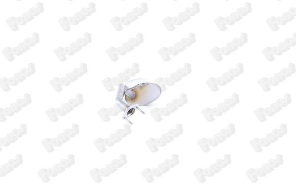 Rear Muffler