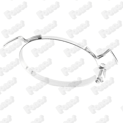 Mount, exhaust system