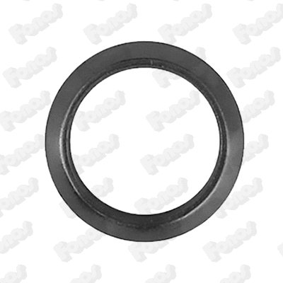 Gasket, exhaust pipe