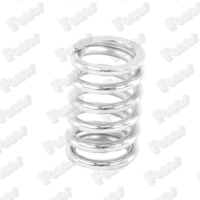 Spring, muffler