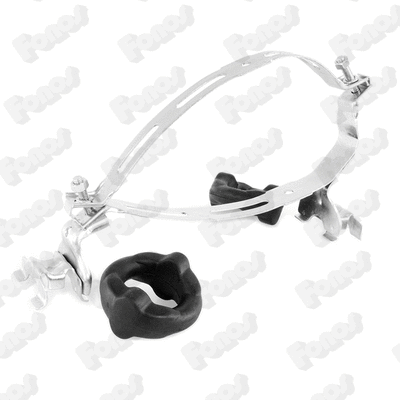 Mount, exhaust system