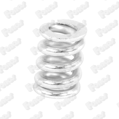 Spring, muffler