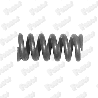 Spring, muffler