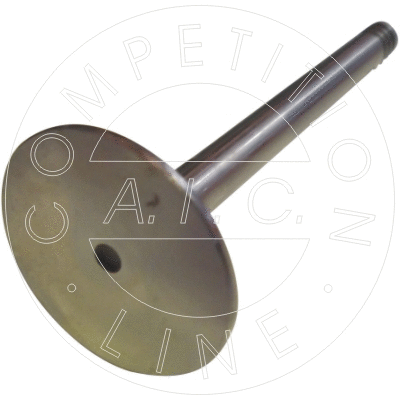 Intake Valve (51490)