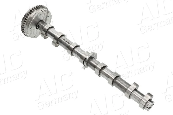 Camshaft (71741)