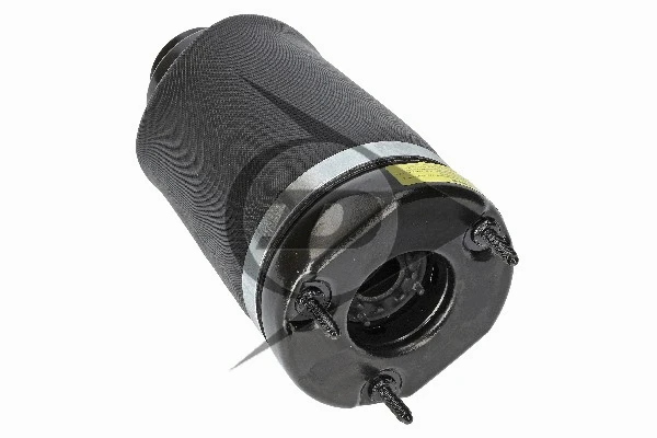 Air Suspension Strut