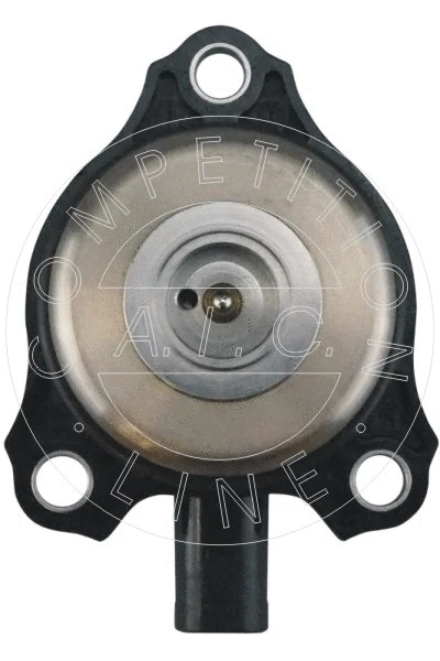 Central Magnet, camshaft adjustment