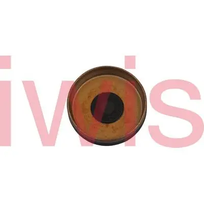 Locking Cover, camshaft