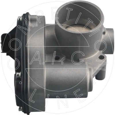 Throttle Body (56558)