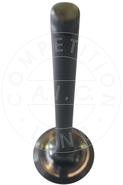 Exhaust Valve (51200)