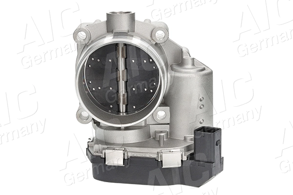 Throttle Body (71898)