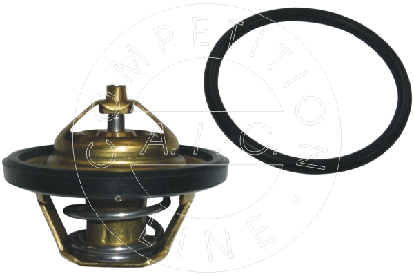 Thermostat, coolant (51181)