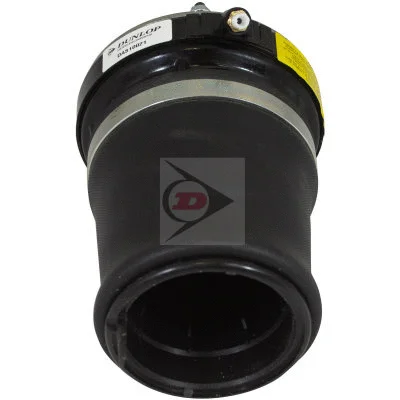 Air Spring, suspension