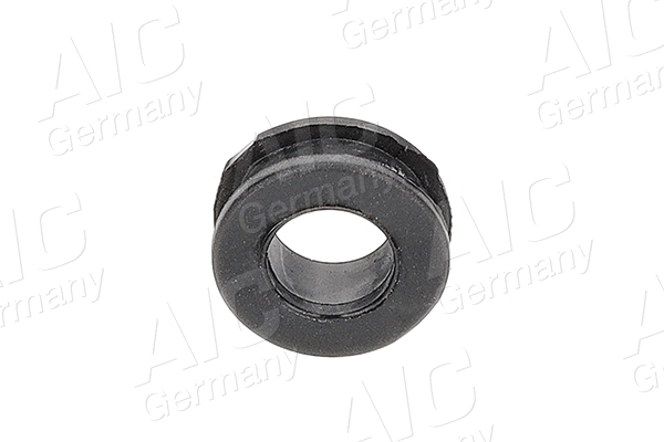 Bush, shift rod (71556)