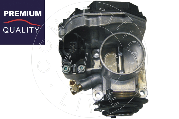 Throttle Body (52884)
