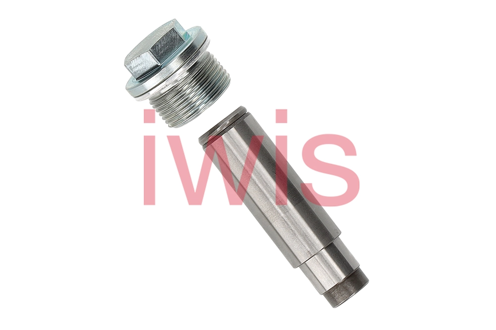 Tensioner, timing chain