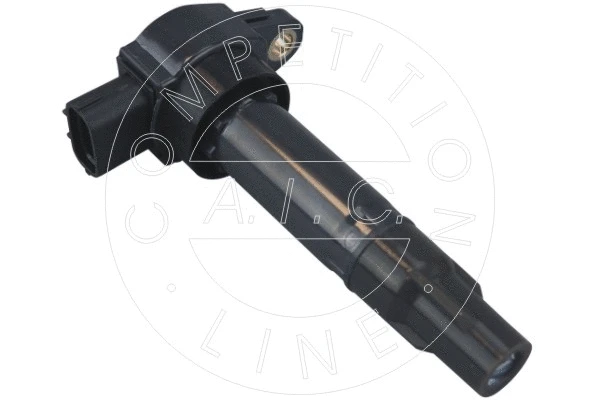 Ignition Coil (57313)