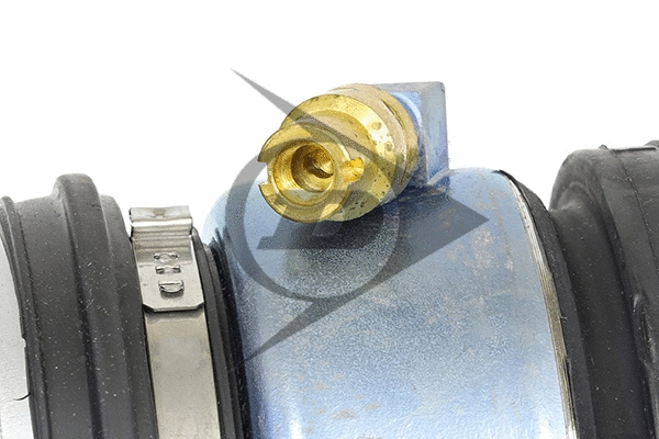 Air Suspension Strut