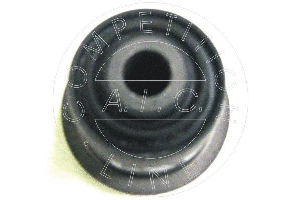 Mounting, control/trailing arm (50381)