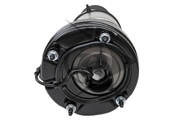 Air Suspension Strut