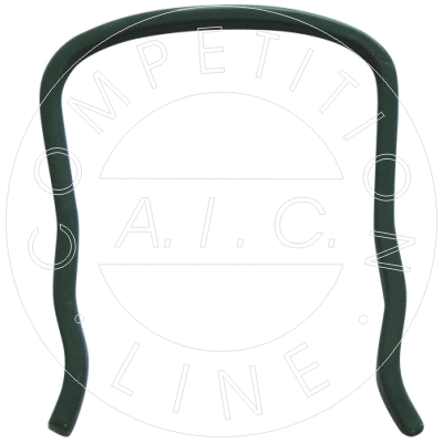 Retaining Spring (50053)