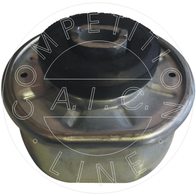 Mounting, engine (51489)