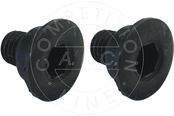 Bolt, brake disc (53273)