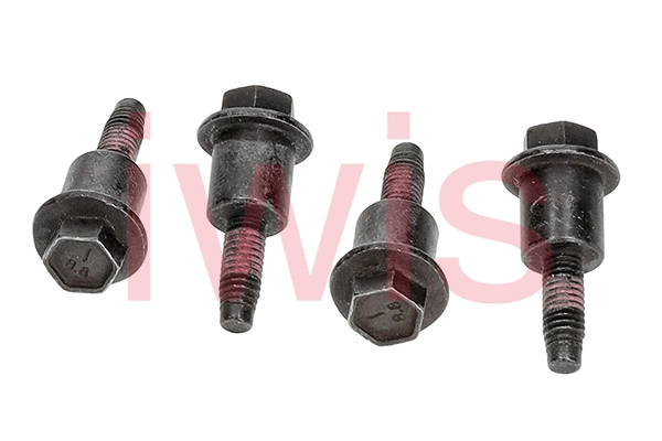 Sliding Rail Bolts, timing chain (59668)