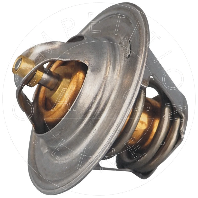 Thermostat, coolant (58256)