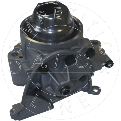 Oil Pump (54706)
