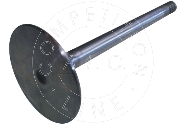 Intake Valve (51241)