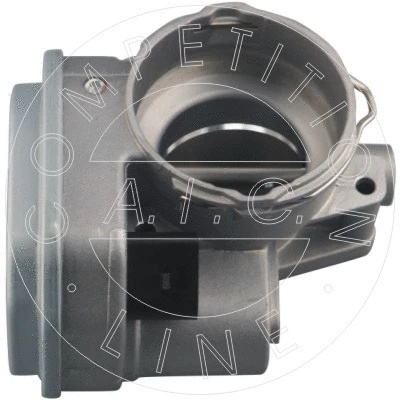 Throttle Body (56576)
