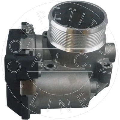 Throttle Body (57721)
