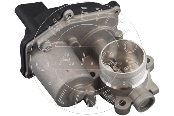 EGR Valve (70375)