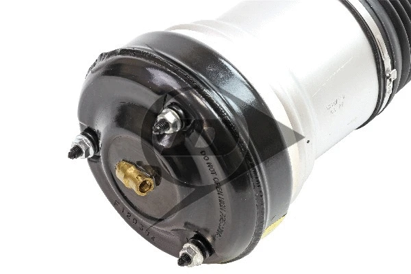 Air Suspension Strut